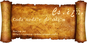Császár Ádám névjegykártya